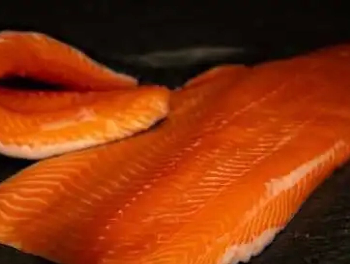 parasites-in-fish